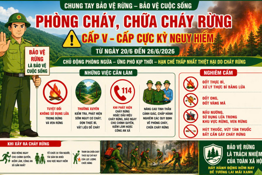 Nắng nóng - Cảnh báo nguy cơ cháy rừng.