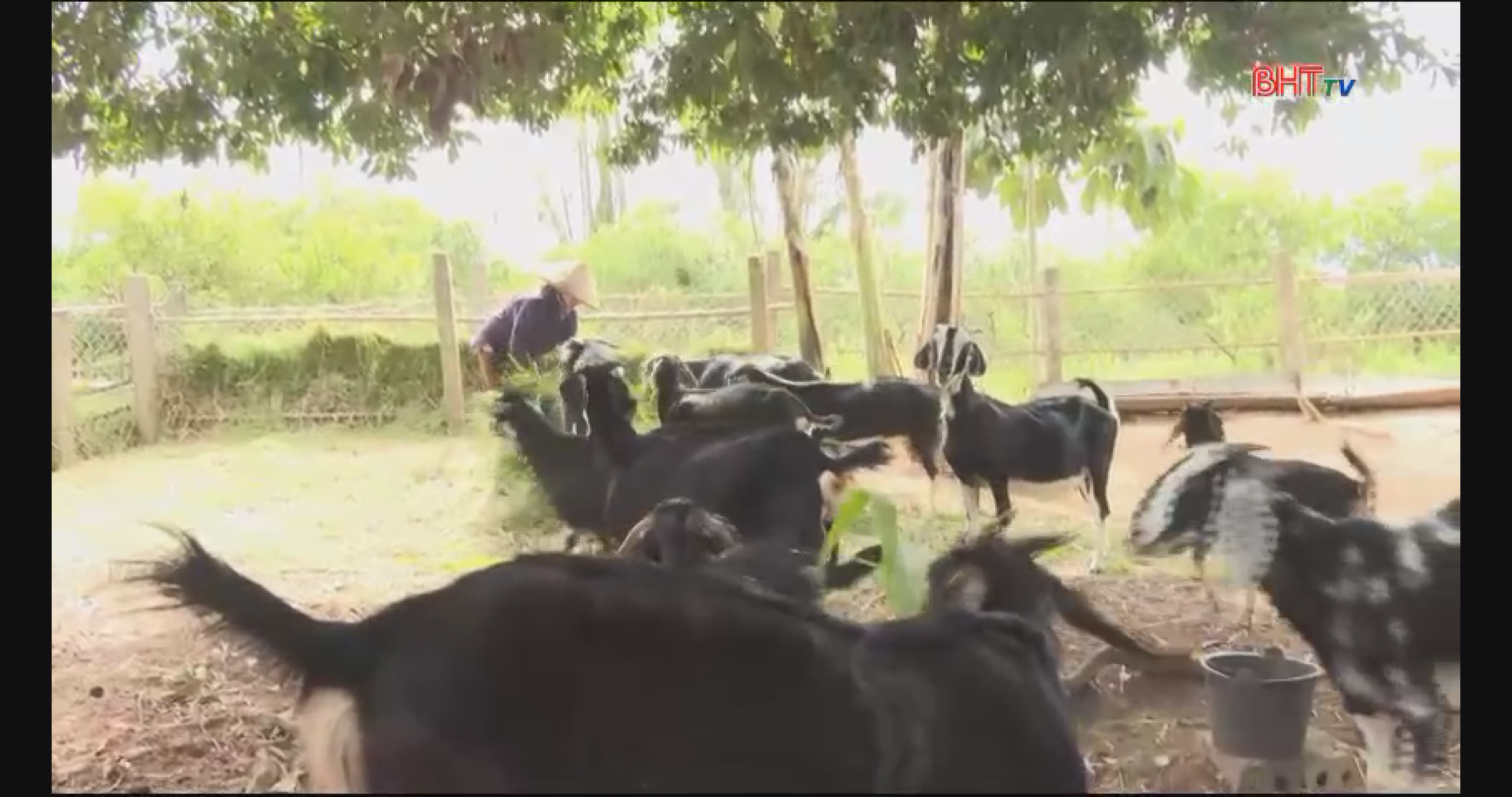 Thôn Thiên Nhẫn I thi đua tăng gia sản xuất và phát triển các mô hình kinh tế hộ gia đình.