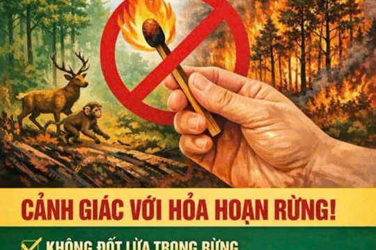 Cảnh báo nguy cơ cháy rừng.