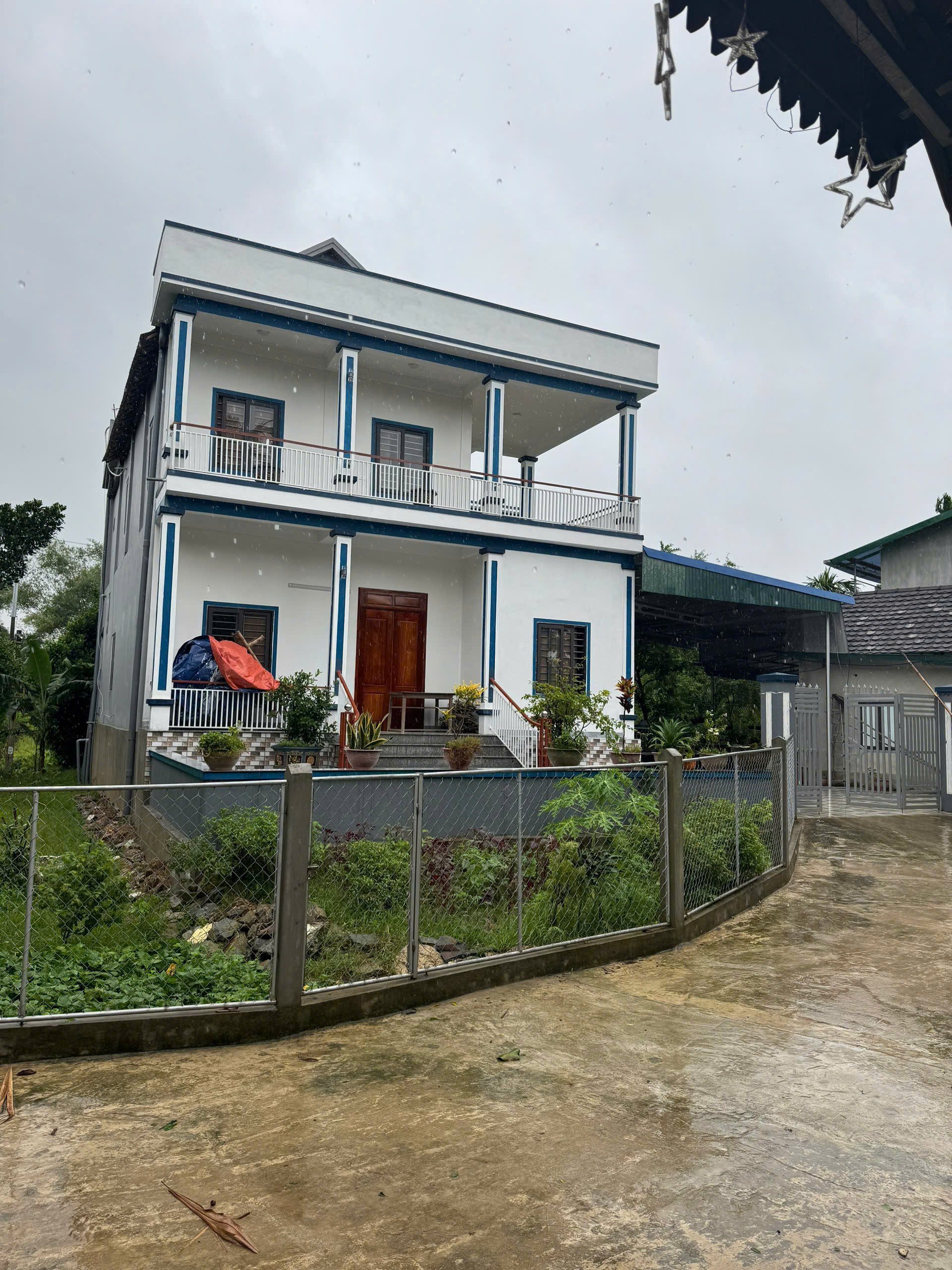 46.jpg